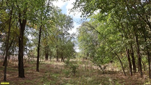 Перспективная ООПТ Рясная роща