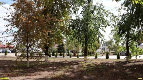 Перспективная ООПТ Роща Cыркомбината