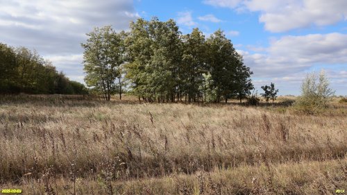 Перспективная ООПТ Маловские пойменные луга