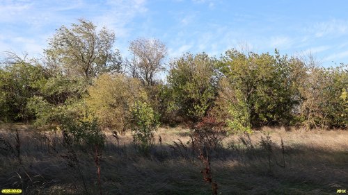 Перспективная ООПТ Урочище Иваньки