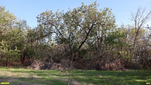 Перспективная ООПТ Урочище Иваньки