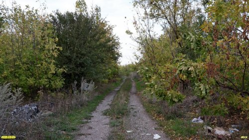 Перспективная ООПТ Северо-Белохуторская роща