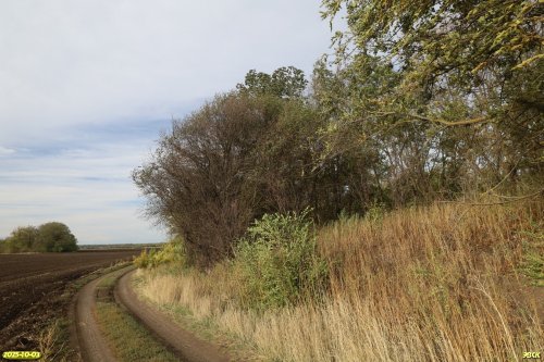 Перспективная ООПТ Максименков лес