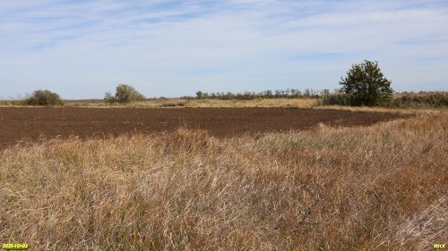 Перспективная ООПТ Восточно-Уманский берег Сосыки
