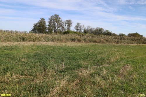 Перспективная ООПТ Урочище Полтавское