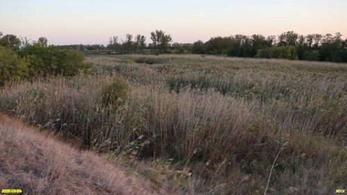 Перспективная ООПТ Староверский высокий берег Сосыки