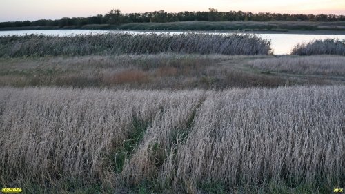 Перспективная ООПТ Западненский берег Сосыки