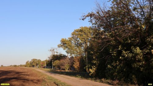Окраина перспективной ООПТ Восточно-Куликовская роща