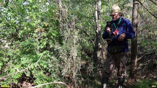 Координатор ЭВСК А.Рудомаха рядом с караганой кустарниковой в перспективной ООПТ Куликовские рощи