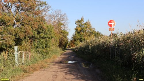 Перспективная ООПТ Сосыкская дубово-каштановая роща