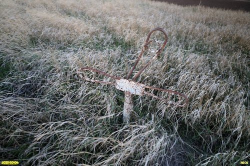 Старая могила в перспективной ООПТ Староверский курган