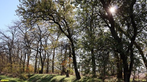 Перспективная ООПТ Дрижин высокий берег