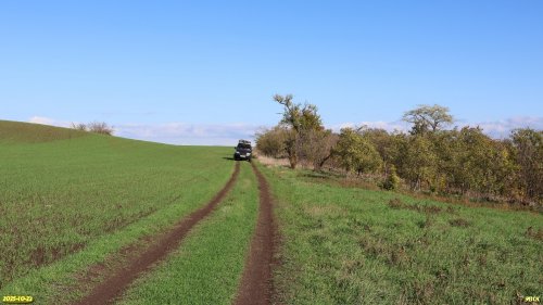 Северная окраина перспективной ООПТ Дрижин высокий берег граничит с возделываемым полем