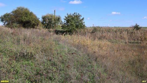 Перспективная ООПТ Черкасская роща