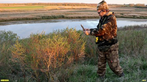 Координатор ЭВСК А.Рудомаха определяет краснокнижный вид карагана кустарниковая в перспективной ООПТ Каневской высокий берег