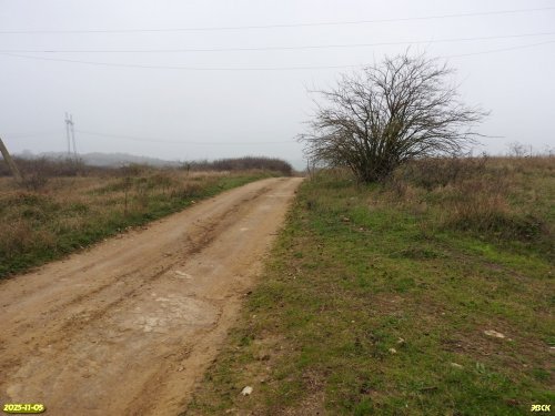 Перспективная ООПТ Восточно-Таранухинская степь