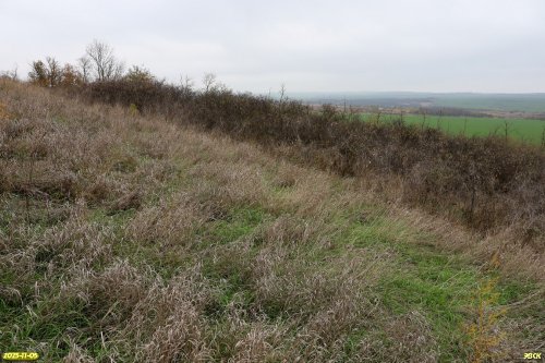 Перспективная ООПТ Шкуратский бугор