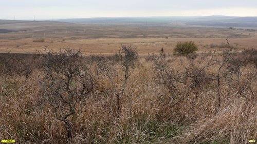 Перспективная ООПТ Шкуратская степь