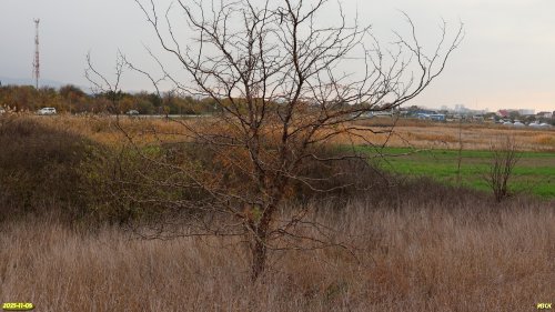 Перспективная ООПТ Чембурский бугор