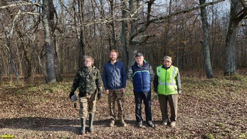 Активисты ЭВСК на обследовании озеленённых территорий в МО Апшеронский район (21.11.2025)