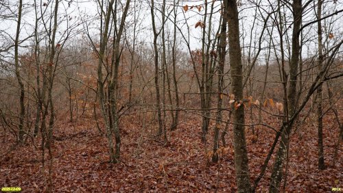 Перспективная ООПТ Верхнеставропольский лес