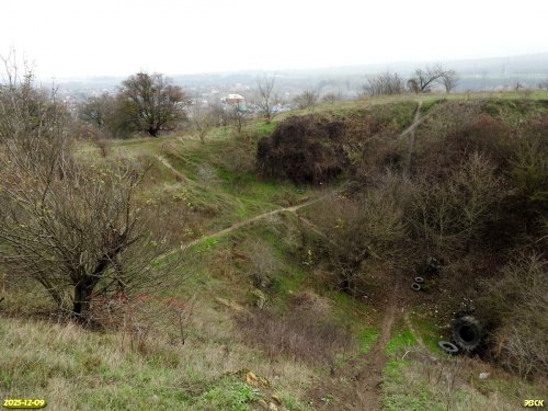 Перспективная ООПТ Урочище Скала 