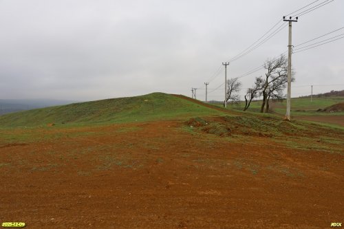 Перспективная ООПТ Урочище Скала 
