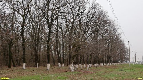Окраина перспективной ООПТ Гавришская дубрава