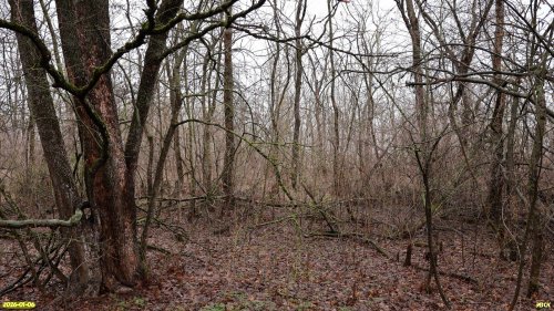 Перспективная ООПТ Спечакиевские рощи