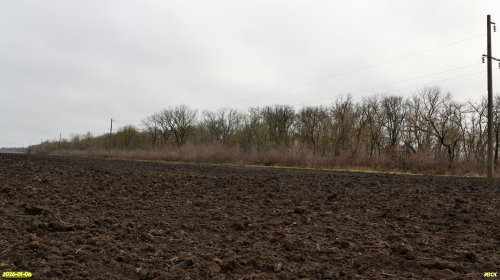 Перспективная ООПТ Спечакиевские рощи