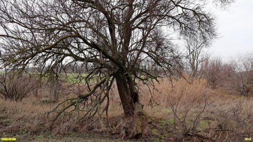 Перспективная ООПТ Канеловский привал