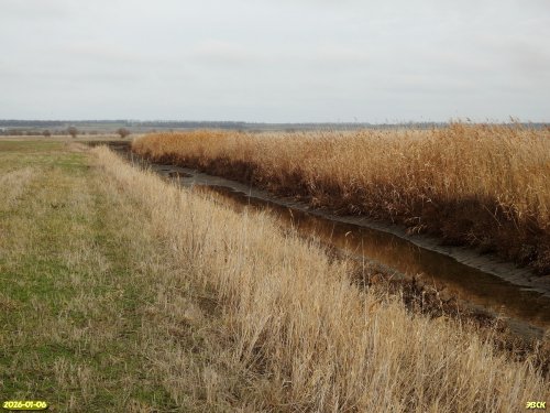 Перспективная ООПТ Западно-Канеловские луга