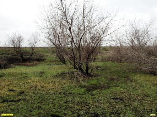 Перспективная ООПТ Западно-Канеловские луга