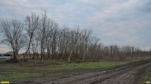 Перспективная ООПТ Две рощи на улице Толстого