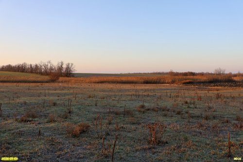 Перспективная ООПТ Хлопов луг