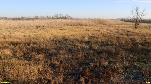 Перспективная ООПТ Сметанинская луговина