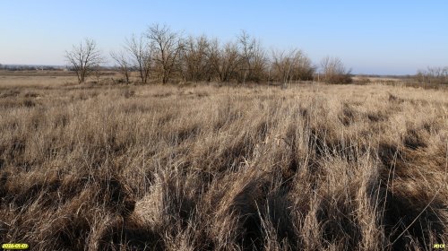Перспективная ООПТ Вершина Заейской балки 