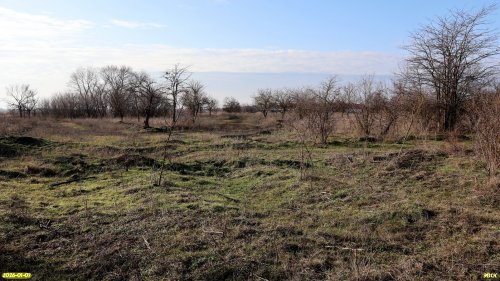 Перспективная ООПТ Урочище Зелёное 