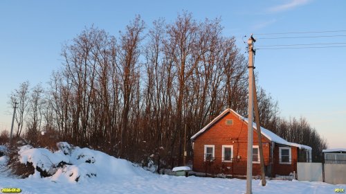 Перспективная ООПТ Восточно-Заревская роща