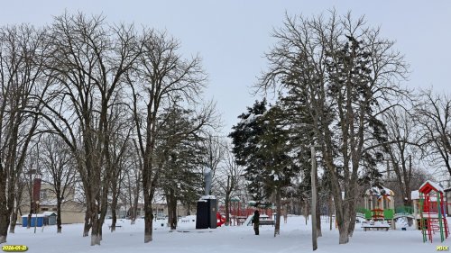 Перспективная ООПТ Ирклиевский сквер 