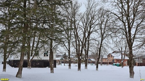 Перспективная ООПТ Ирклиевский сквер 