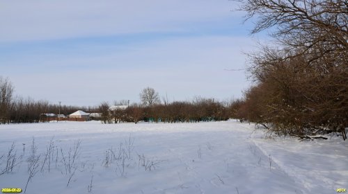 Перспективная ООПТ Новодонецкий лес