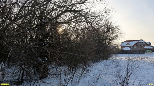 Перспективная ООПТ Бурсакская роща