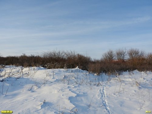 Перспективная ООПТ Бурсакская роща