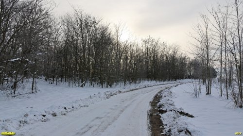 Перспективная ООПТ Роща в хуторе Ин-Малёваный