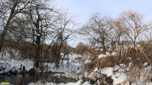 Перспективная ООПТ Роща в переулке Вышинского