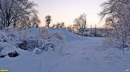 Перспективная ООПТ Роща на улице Станционной