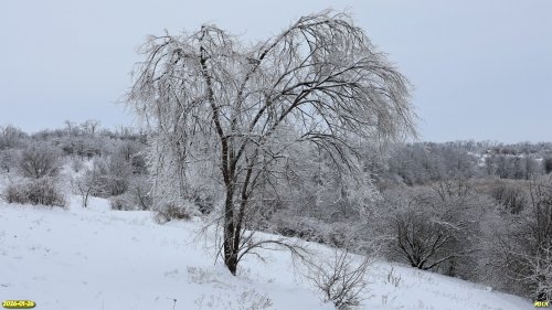 Новорождественские косогоры