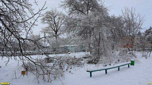 Перспективная ООПТ Парк на улице Мира