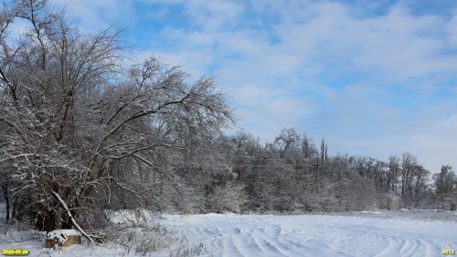 Перспективная ООПТ Узловой лес